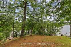 129 LOON COVE TRAIL | North Algona Wilberforce Ontario | Slide Image Thirteen
