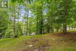 129 LOON COVE TRAIL | North Algona Wilberforce Ontario | Slide Image Fifteen