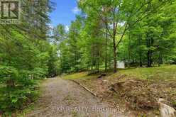 129 LOON COVE TRAIL | North Algona Wilberforce Ontario | Slide Image Sixteen