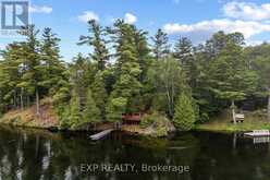 129 LOON COVE TRAIL | North Algona Wilberforce Ontario | Slide Image Eighteen