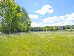 3510 FOYMOUNT ROAD Eganville Ontario, K0J 1T0
