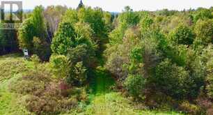 272 ROUND LAKE ROAD | Killaloe, Hagarty and Richards Ontario | Slide Image Ten