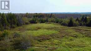 272 ROUND LAKE ROAD | Killaloe, Hagarty and Richards Ontario | Slide Image Four