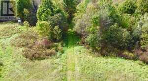 272 ROUND LAKE ROAD | Killaloe, Hagarty and Richards Ontario | Slide Image Nine