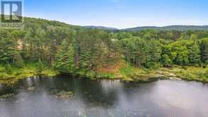 LOT 48 LAKEVIEW PARKWAY | Madawaska Valley Ontario | Slide Image Five