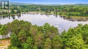 LOT 48 LAKEVIEW PARKWAY | Madawaska Valley Ontario | Slide Image Six
