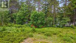 LOT 48 LAKEVIEW PARKWAY | Madawaska Valley Ontario | Slide Image Seven
