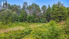 LOT 48 LAKEVIEW PARKWAY | Madawaska Valley Ontario | Slide Image Eight