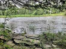 3092 SCOTCH BUSH ROAD | North Algona Wilberforce Ontario | Slide Image Nineteen