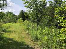 3092 SCOTCH BUSH ROAD | North Algona Wilberforce Ontario | Slide Image Twenty-eight