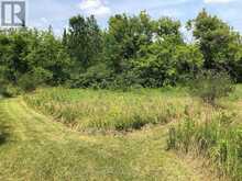 3092 SCOTCH BUSH ROAD | North Algona Wilberforce Ontario | Slide Image Thirty