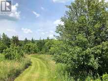 3092 SCOTCH BUSH ROAD | North Algona Wilberforce Ontario | Slide Image Thirty-two