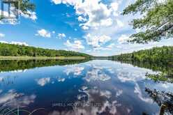37467 HIGHWAY 17 HIGHWAY | Deep River Ontario | Slide Image Thirty-three