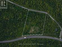 00 60 HIGHWAY | Madawaska Valley Ontario | Slide Image Twelve