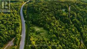 00 60 HIGHWAY | Madawaska Valley Ontario | Slide Image One