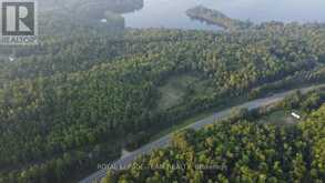00 60 HIGHWAY | Madawaska Valley Ontario | Slide Image Six