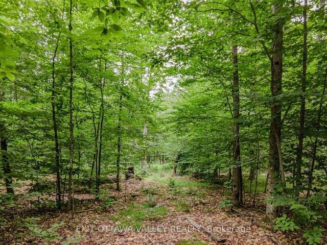 0 PEPLINSKIE ROAD Madawaska Valley Ontario, K0J 1L0 - Vacant Land For Sale