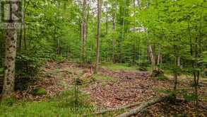 0 PEPLINSKIE ROAD | Madawaska Valley Ontario | Slide Image Fifteen