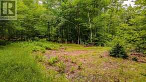 0 PEPLINSKIE ROAD | Madawaska Valley Ontario | Slide Image Twelve