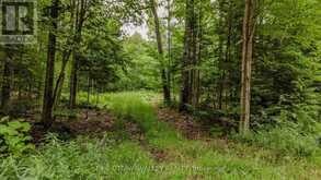 0 PEPLINSKIE ROAD | Madawaska Valley Ontario | Slide Image Two