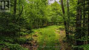 0 PEPLINSKIE ROAD | Madawaska Valley Ontario | Slide Image Three