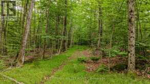 0 PEPLINSKIE ROAD | Madawaska Valley Ontario | Slide Image Five