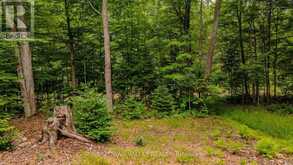 0 PEPLINSKIE ROAD | Madawaska Valley Ontario | Slide Image Six