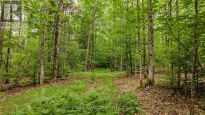 0 PEPLINSKIE ROAD | Madawaska Valley Ontario | Slide Image Nine