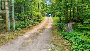 1205 YANDRESKI ROAD | Madawaska Valley Ontario | Slide Image Three