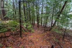 28084 HIGHWAY 41 | Greater Madawaska Ontario | Slide Image Twenty-seven
