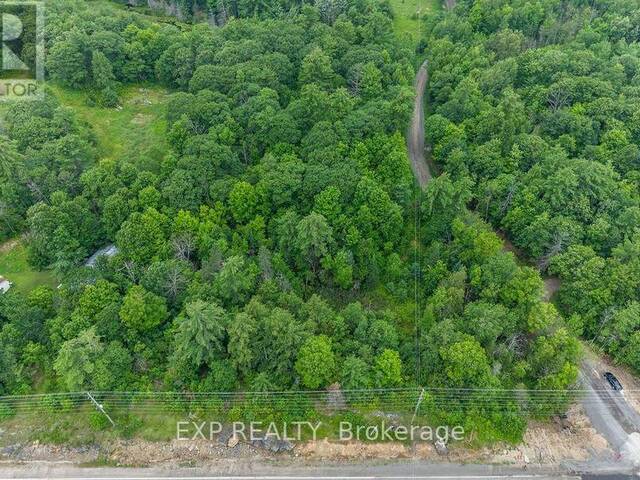 00 RIOPELLE ROAD Greater Madawaska Ontario, K0J 1G0 - Vacant Land For Sale