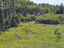 888 WILNO SOUTH ROAD S | Madawaska Valley Ontario | Slide Image Thirty-one