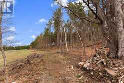 359 DITTBURNER ROAD | Whitewater Region Ontario | Slide Image Sixteen