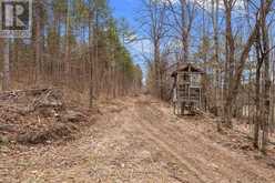 359 DITTBURNER ROAD | Whitewater Region Ontario | Slide Image Seventeen