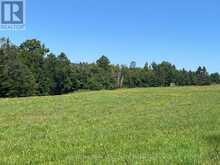 359 DITTBURNER ROAD | Whitewater Region Ontario | Slide Image Thirty