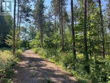 359 DITTBURNER ROAD | Whitewater Region Ontario | Slide Image Thirty-six