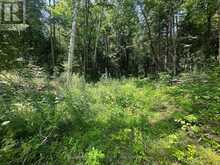 0 MOUNT ST PATRICK ROAD | Greater Madawaska Ontario | Slide Image Twelve