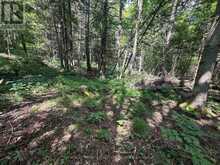 0 MOUNT ST PATRICK ROAD | Greater Madawaska Ontario | Slide Image Thirteen