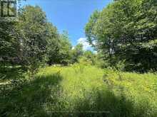 0 MOUNT ST PATRICK ROAD | Greater Madawaska Ontario | Slide Image Four