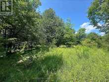 0 MOUNT ST PATRICK ROAD | Greater Madawaska Ontario | Slide Image Six