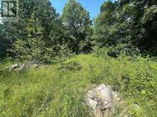 0 MOUNT ST PATRICK ROAD | Greater Madawaska Ontario | Slide Image Nine