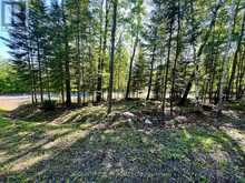 644 MITCHELL ROAD | Madawaska Valley Ontario | Slide Image Ten