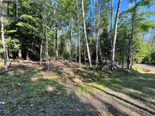 644 MITCHELL ROAD | Madawaska Valley Ontario | Slide Image Eleven