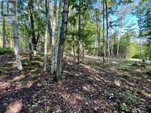 644 MITCHELL ROAD | Madawaska Valley Ontario | Slide Image Twelve