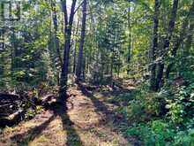 644 MITCHELL ROAD | Madawaska Valley Ontario | Slide Image Nineteen