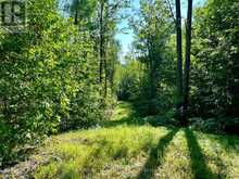 644 MITCHELL ROAD | Madawaska Valley Ontario | Slide Image Twenty-three