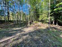 644 MITCHELL ROAD | Madawaska Valley Ontario | Slide Image Seven
