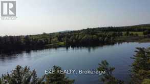000 ISLAND VIEW DRIVE | North Algona Wilberforce Ontario | Slide Image Ten
