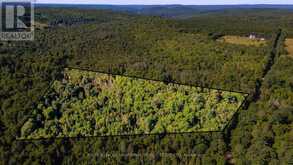 688 PRINCE ROAD E | Madawaska Valley Ontario | Slide Image One