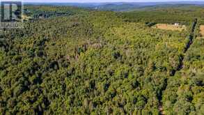 688 PRINCE ROAD E | Madawaska Valley Ontario | Slide Image Two